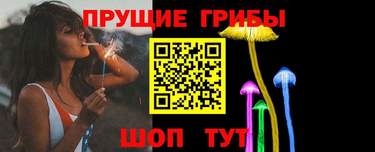 Галлюциногенные грибы Psilocybine cubensis Тельмана
