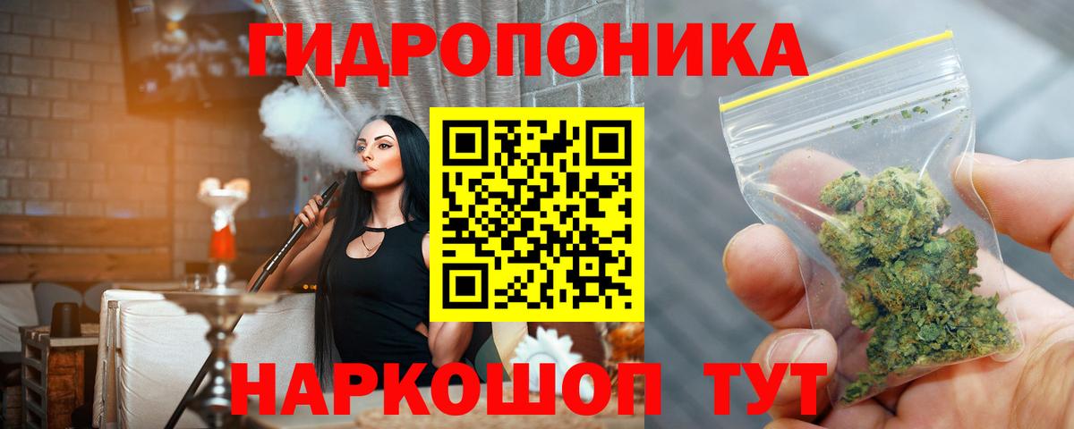 Каннабис ГИДРОПОН Тельмана